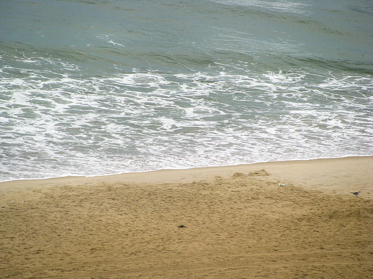 beach, shore, sand, water, sea, wave, nature