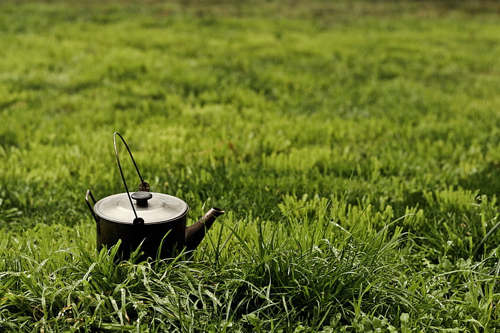 kettle, outside, grass, green, metal, old, antique