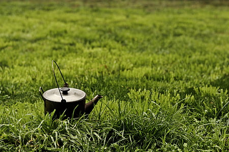 чайник, за межами, трава, Грін, метал, Старий, античні