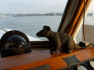 rat, fake, boat, compass, water, mouse, toy