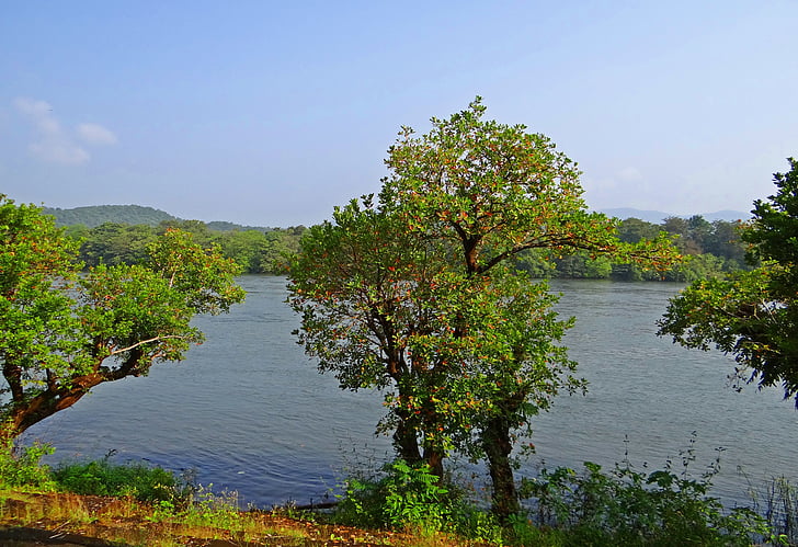 floden, Kali, bjerge, vestlige ghats, skove, naturskønne, kaiga