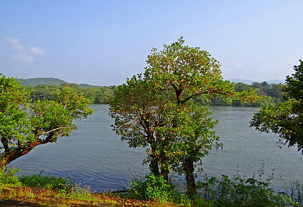 river, kali, mountains, western ghats, forests, scenic, kaiga
