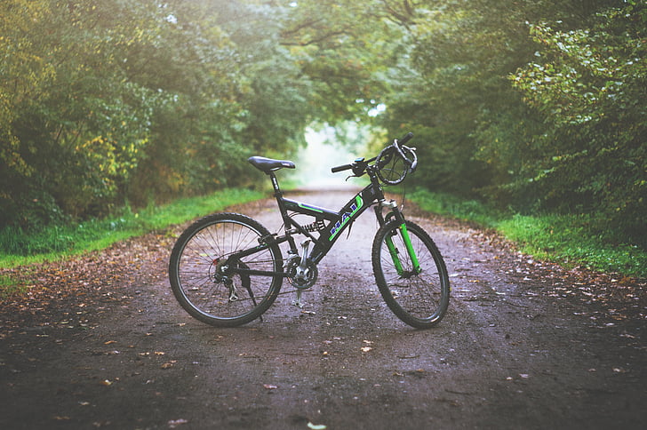 จักรยาน, จักรยาน, กลางแจ้ง, เส้นทาง, สีเขียว, หญ้า, ต้นไม้
