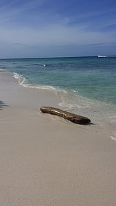море, дървен материал, вода, плаж, внимателен, пясък плаж, празник