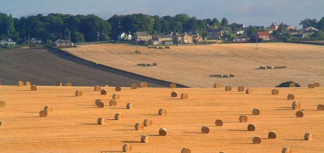 harvest, bales, straw, emley, flockton, rural, farming