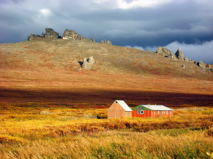 Alaska, krajobraz, sceniczny, upadek, jesień, Tundra, rośliny