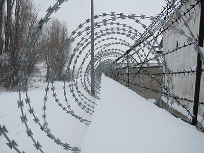 barbed, wire, winter, fence, prison, war, security