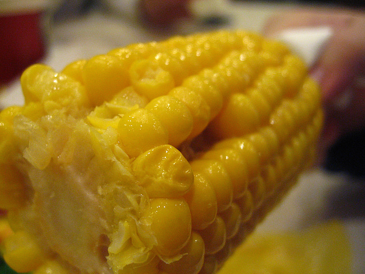 corn, food, kfc corn, yellow