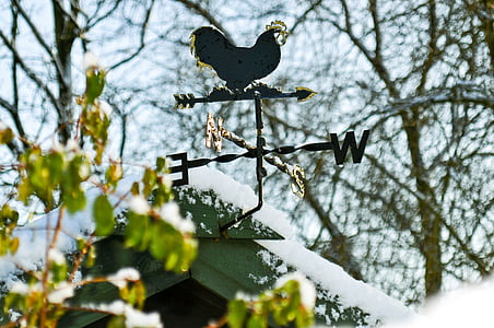 weather, vane, cock, rooster, cardinal, directions, wind