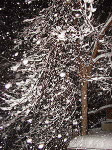 pahuljica, snijeg, jesen, Zima, bijeli, LED, hladno