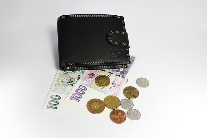 money, wallet, banknotes, leather wallet, coins, finance, business