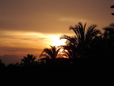 päike, Sunset, Palm puud, Afterglow, Holiday, taevas, Sea