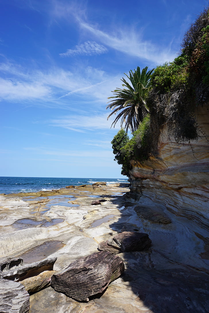 Příroda, pláž, Cronulla, Austrálie, modrá, obloha, Tropical