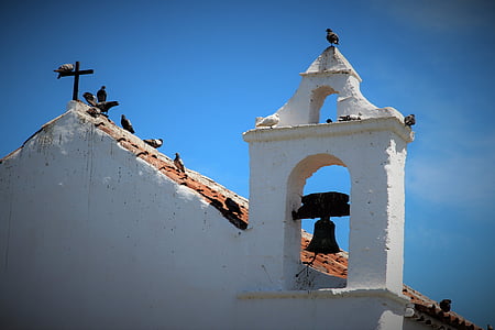 klocktornet, kyrkan, Kanarieöarna, Teneriffa, klockor, fåglar, tak