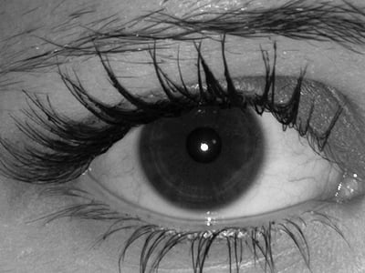 œil, vue, noir et blanc, cils, oeil humain, globe oculaire, Iris - oeil