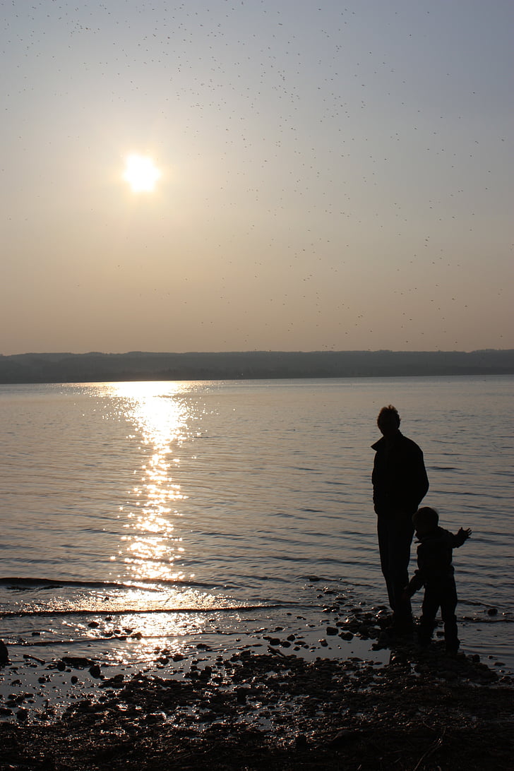 Fader, son, solnedgång, sjön