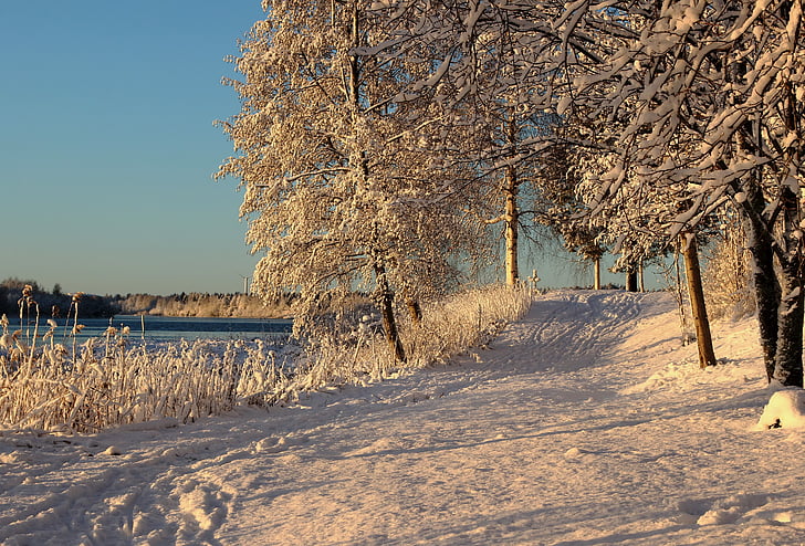 Fínsko, Príroda, scénické, zimné, sneh, ľad, stromy