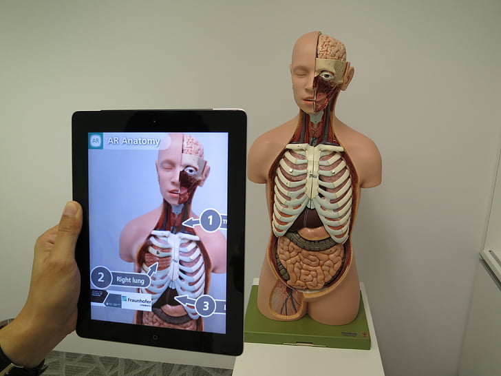 augmented reality, medical, 3d, science, technology, people, women