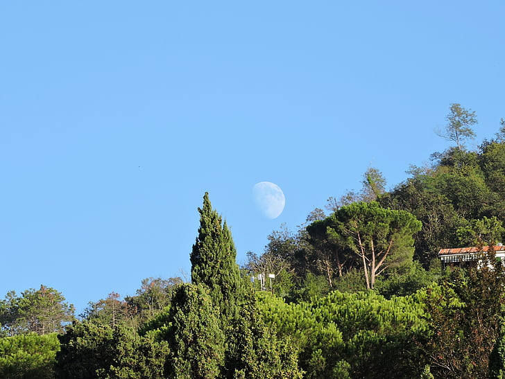 Luna, Mountain, stromy, Zelená, Sky