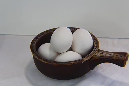 quả trứng, Bữa sáng, tươi, thực phẩm, động vật trứng, màu nâu, quả trứng