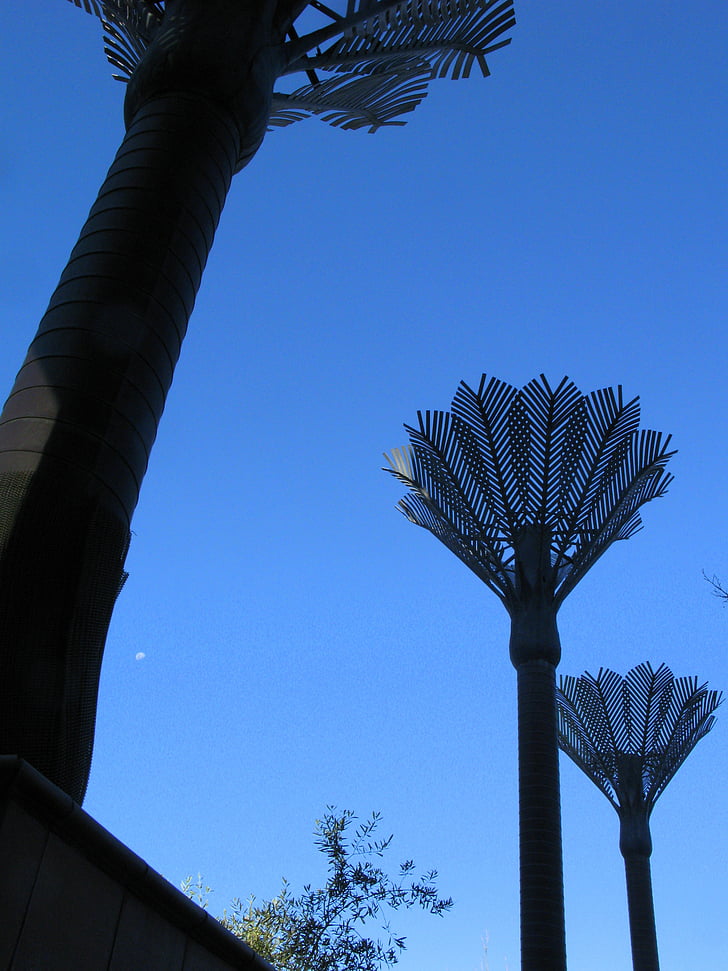 палмови дървета, скулптура, Уелингтън, Нова Зеландия, дърво, небе