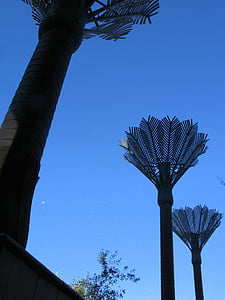 palmy, sochárstvo, Wellington, Nový Zéland, strom, Sky