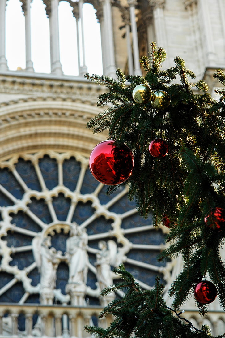 Γαλλία, Παρίσι, Εκκλησία, West rose, λεπτομέρεια, Χριστούγεννα, χριστουγεννιάτικο δέντρο