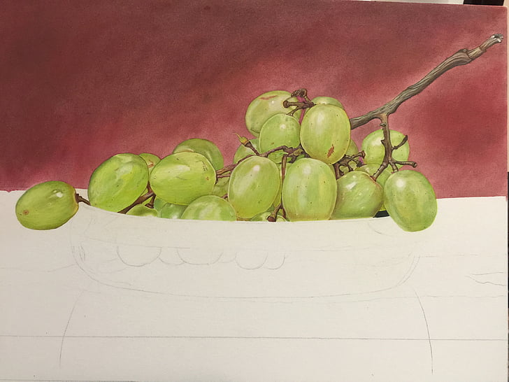 grapes, drawings, painting, still life, colored pencil