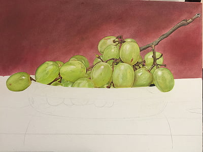 grapes, drawings, painting, still life, colored pencil