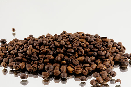café, feijão, grãos de café, café expresso