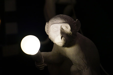 Monkey, žiarovka, svetlo, sochárstvo, dizajn