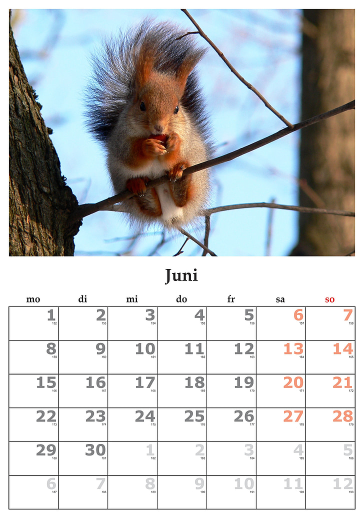 calendário, mês, Junho de, de junho de 2015