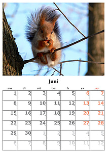 kalendern, månad, juni, juni 2015