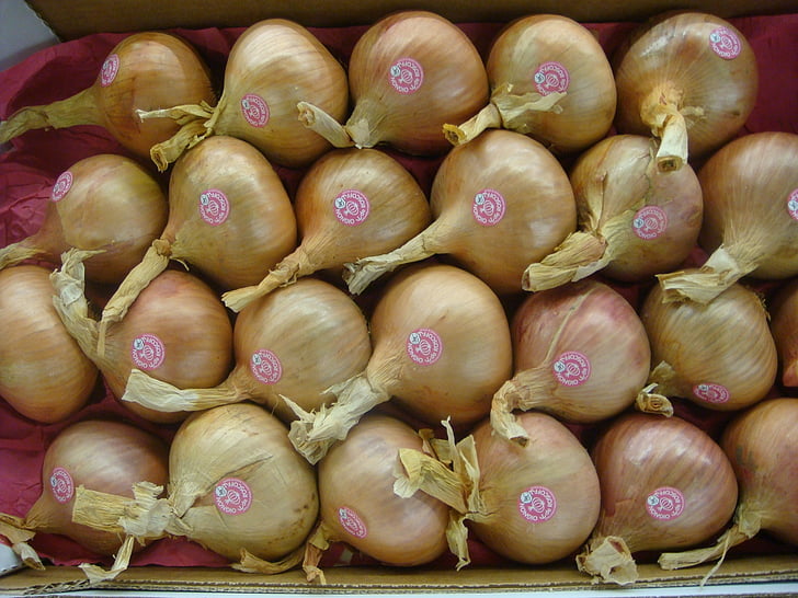 bawang, roscof, Prancis