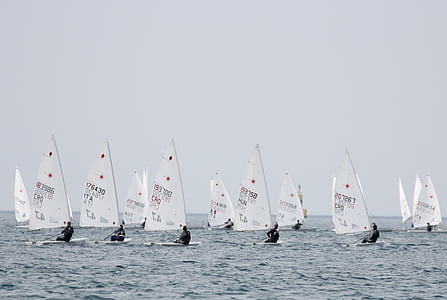 sailing, laser, sea, eurocup, sailboat, sport, nautical Vessel