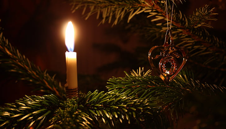 christmas, christmas tree, christmas decorations, christmas lights, christmas decoration, celebration, illuminated