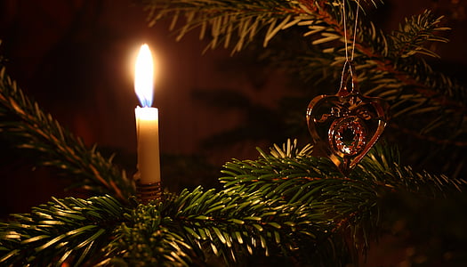 Weihnachten, Weihnachtsbaum, Weihnachtsschmuck, Weihnachtsbeleuchtung, Weihnachts-Dekoration, Feier, beleuchtete