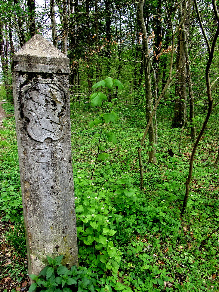 Landmark, Bajorország határán, régi határ kő, erdő, fa, természet, Woodland
