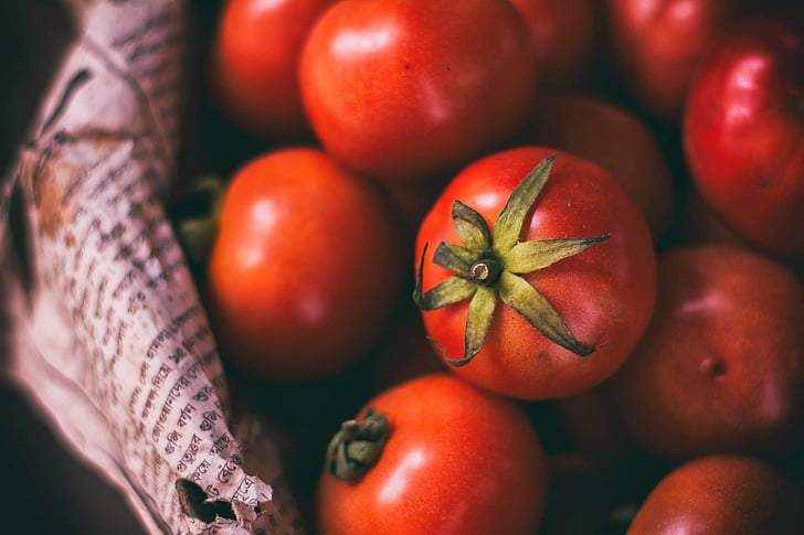 poľnohospodárstvo, partia, cherry paradajky, detail, chutné, poľnohospodárstvo, jedlo