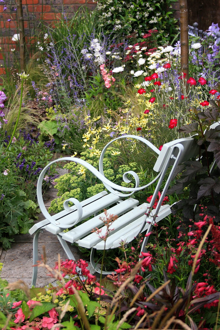 Taman, Flora, Kolam, kursi, bunga, di luar rumah, alam