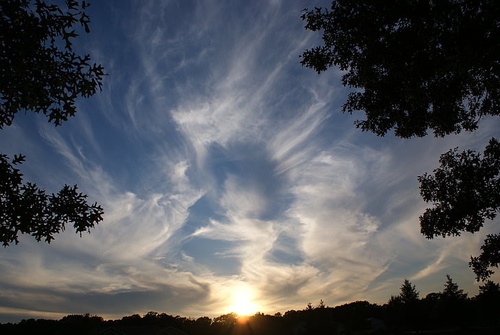clouds, sunset, angel, sky, evening, dramatic, tree
