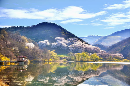Korea, krajina, Korejská republika, Příroda, scenérie, jaro, jezero
