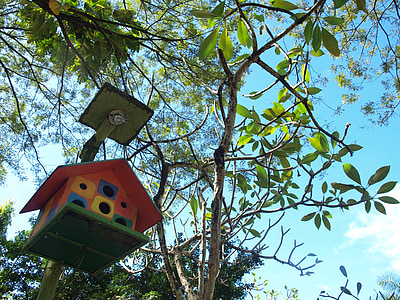 Birdhouse, drzewo, drewniane, Dekoracja, ogród, siedlisko, pudełko