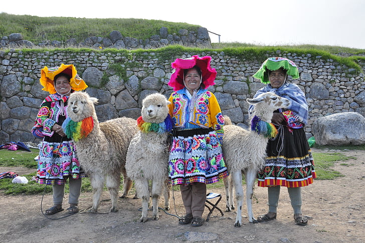 Lama, alpaka, memeli, and quechua, Peru, Inca, Turizm