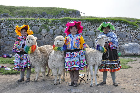 Lama, alpacka, däggdjur, Andinska quechua, Peru, Inca, turism
