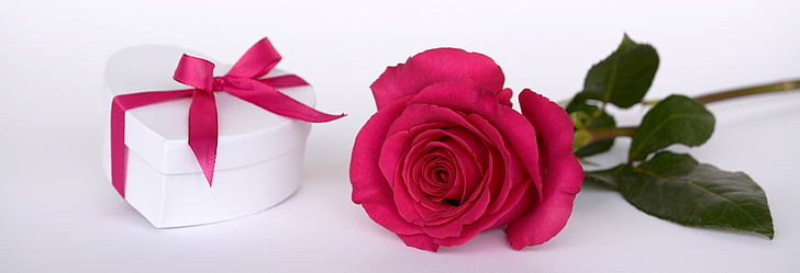 Rožė, širdies, dovana, kilpa, siurprizas, duoti, atidaryti
