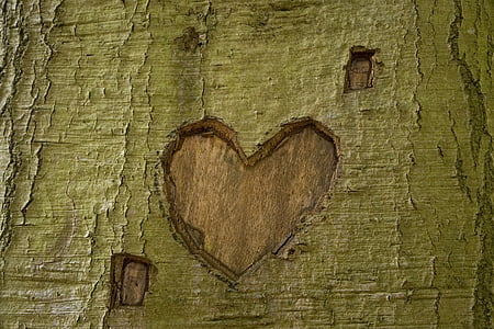 strom, parku, srdce, Oříznout, Láska, Příroda, zelená
