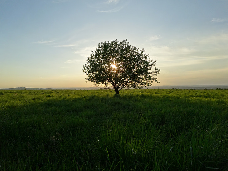 Olkusz, Polònia, paisatge, posta de sol