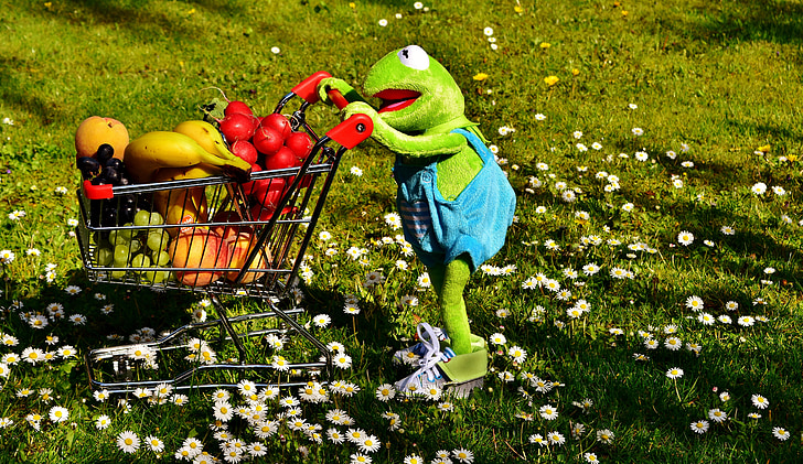 Kermit, koszyk, zdrowe zakupy, owoce, warzywa, banany, brzoskwinie