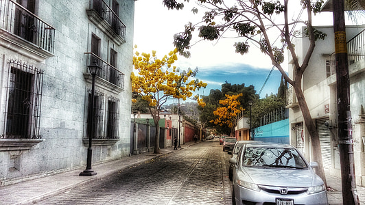 Street, Oaxaca, kolonial